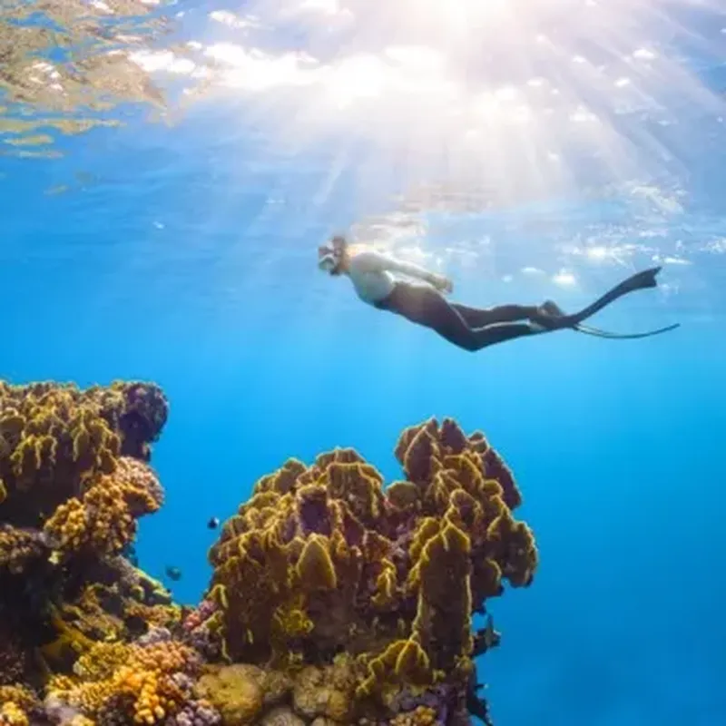Billet Balade en bateau et Snorkeling à Menton