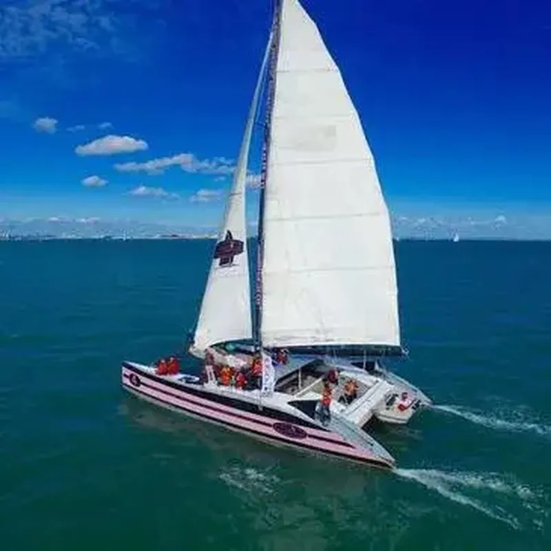 Billet Balade en Catamaran - Lorient et Ile de Groix