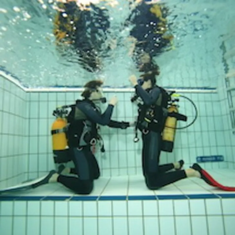 Billet Brevet de plongée Niveau 1 en fosse près de Paris