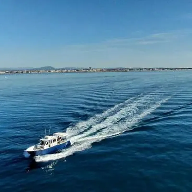 Billet Balade en Bateau près de Montpellier