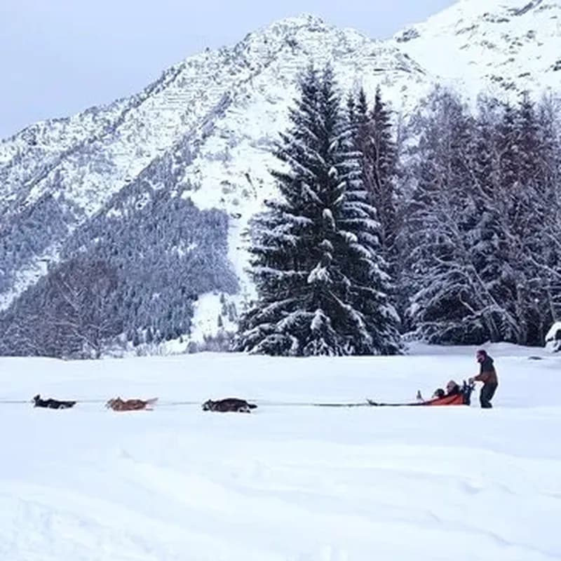 Billet Randonnée en Chiens de Traîneau à Barèges