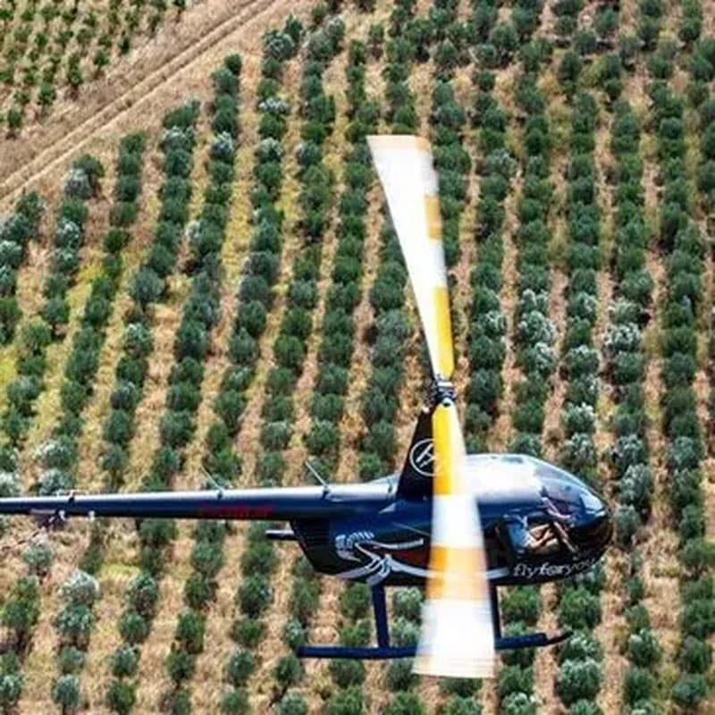 Billet Baptême en Hélicoptère près de Dole