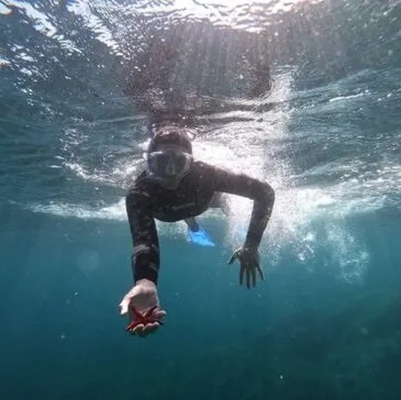Billet Baptême d'Apnée et Snorkeling à Hyères - Presqu'île de Giens