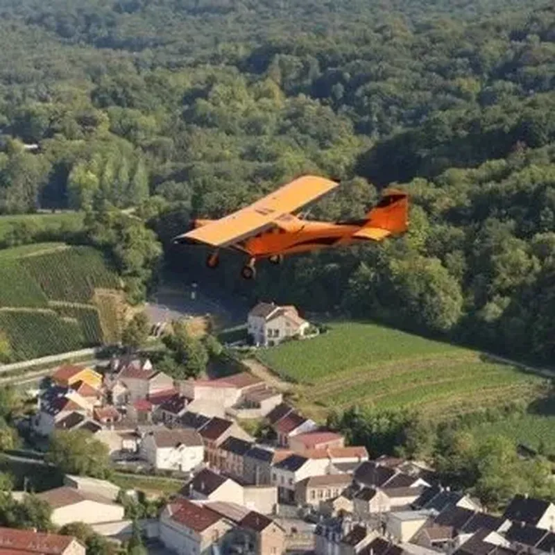 Billet Baptême en Avion  ULM à Reims - La Marne