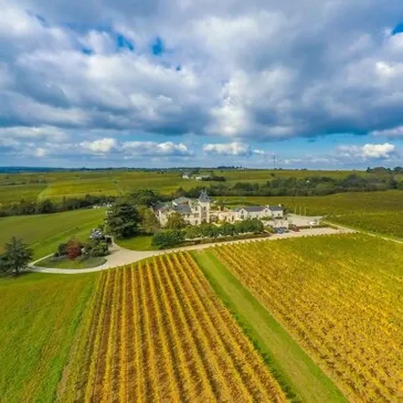 Billet Week-end œnologique près d'Angers