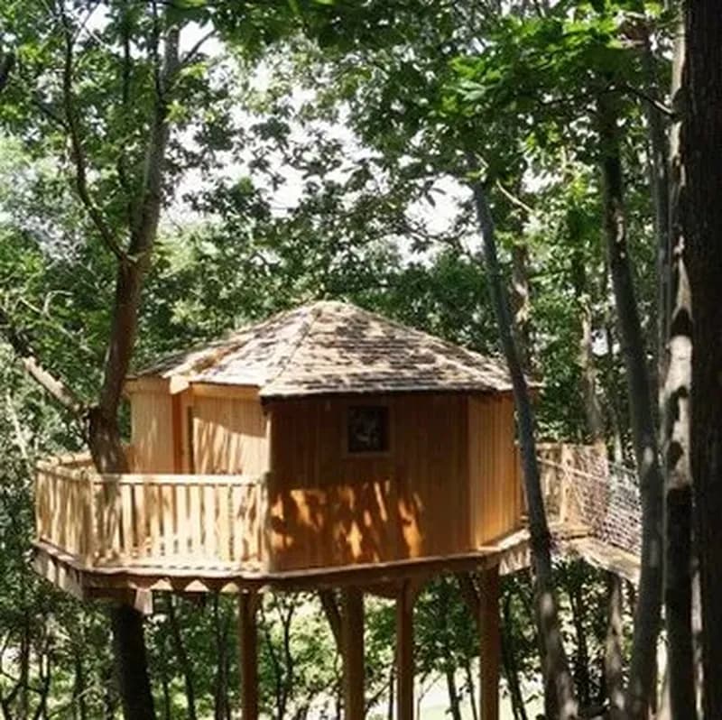 Billet Nuit en Cabane dans les Arbres près de Lyon