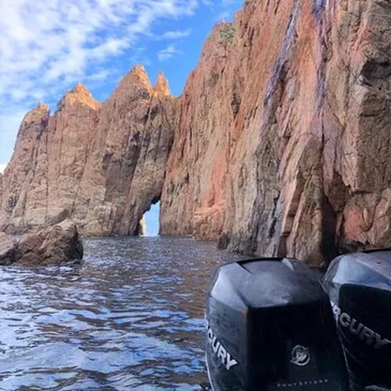 Billet Balade en Bateau à Nice