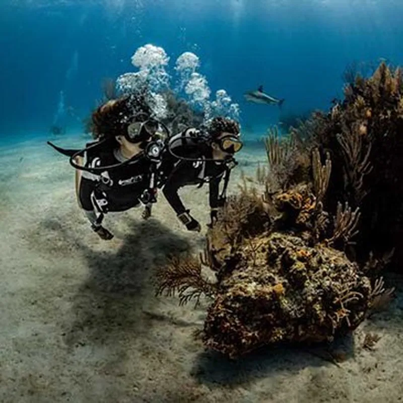 Billet Baptême de plongée sous-marine près de Biarritz