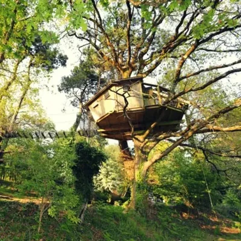 Billet Cabane dans les Arbres avec Spa près de Carnac