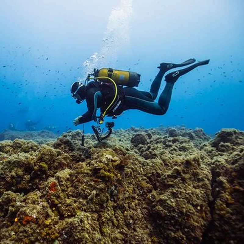 Billet Baptême de Plongée à Villeneuve-Loubet