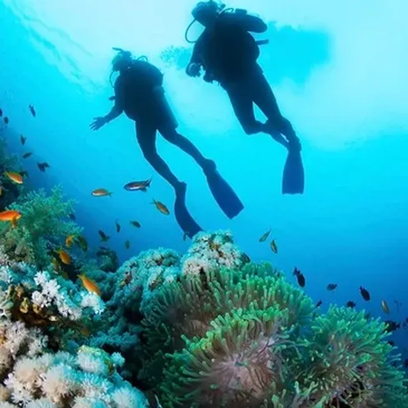 Billet Baptême de Plongée près de Saint Paul à La Réunion