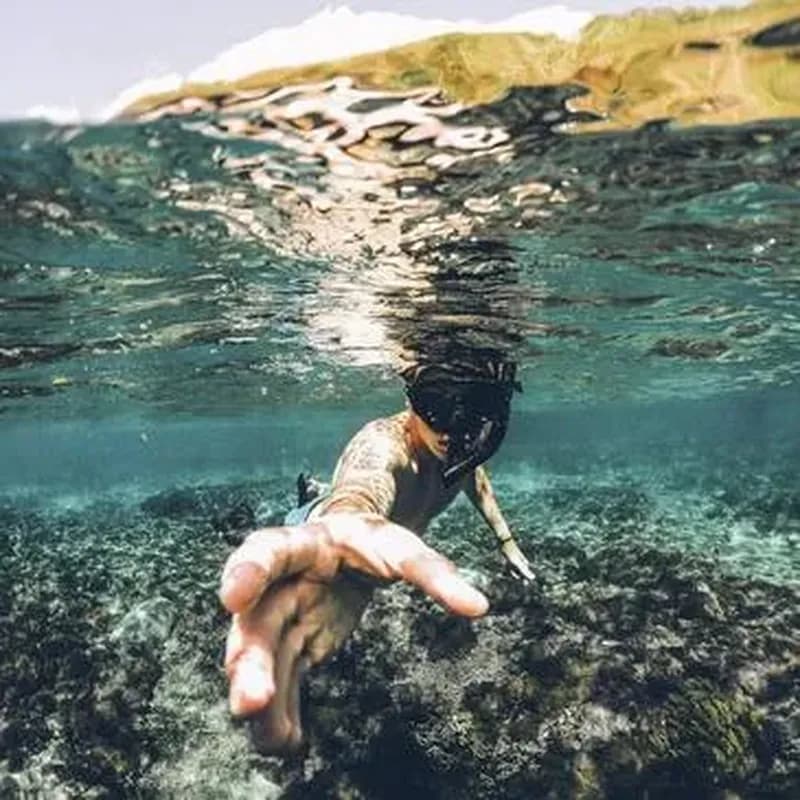 Billet Randonnée Palmée dans le Parc National de Port-Cros