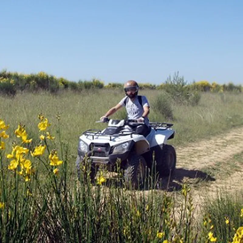 Billet Randonnée en Quad près d'Avignon