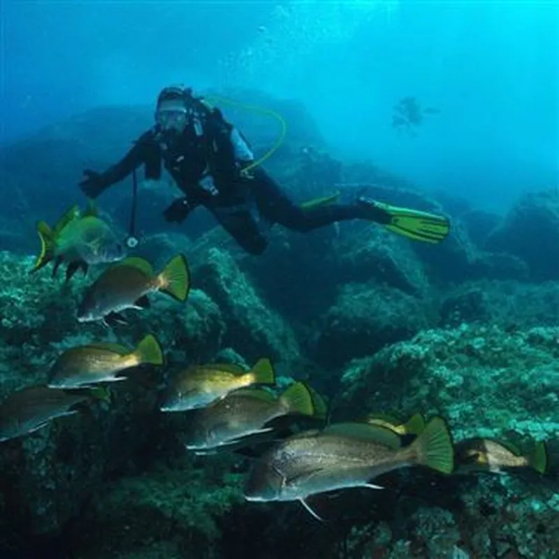 Billet Baptême de Plongée à Santa Maria Poggio