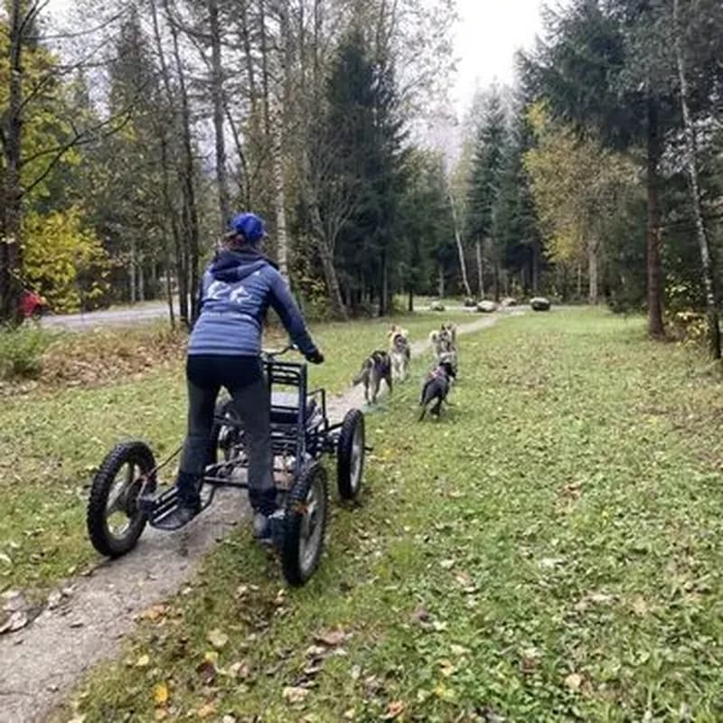 Billet Balade en Cani-Kart à Chamonix Mont Blanc