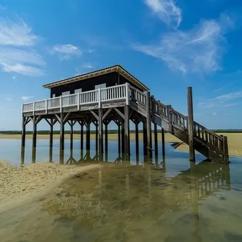 Billet Baptême en Hélicoptère - Survol de l'Île aux Oiseaux