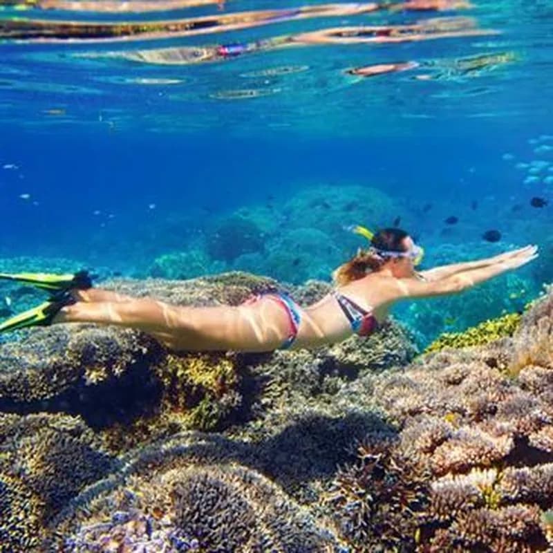 Billet Randonnée Palmée dans le Golfe de Sagone