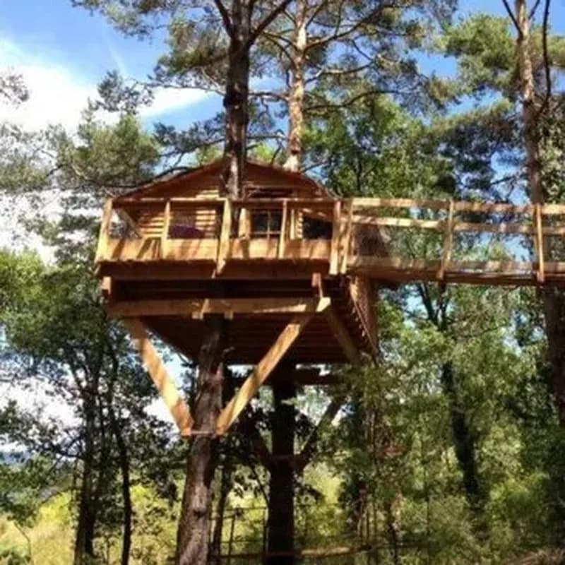 Billet Nuit en Cabane dans les Arbres près de Digne-les-Bains