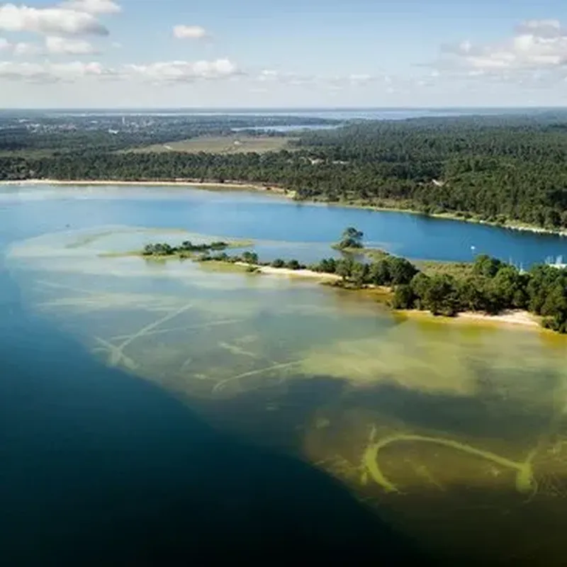 Billet Pilotage d'Hélicoptère ULM à Biscarrosse