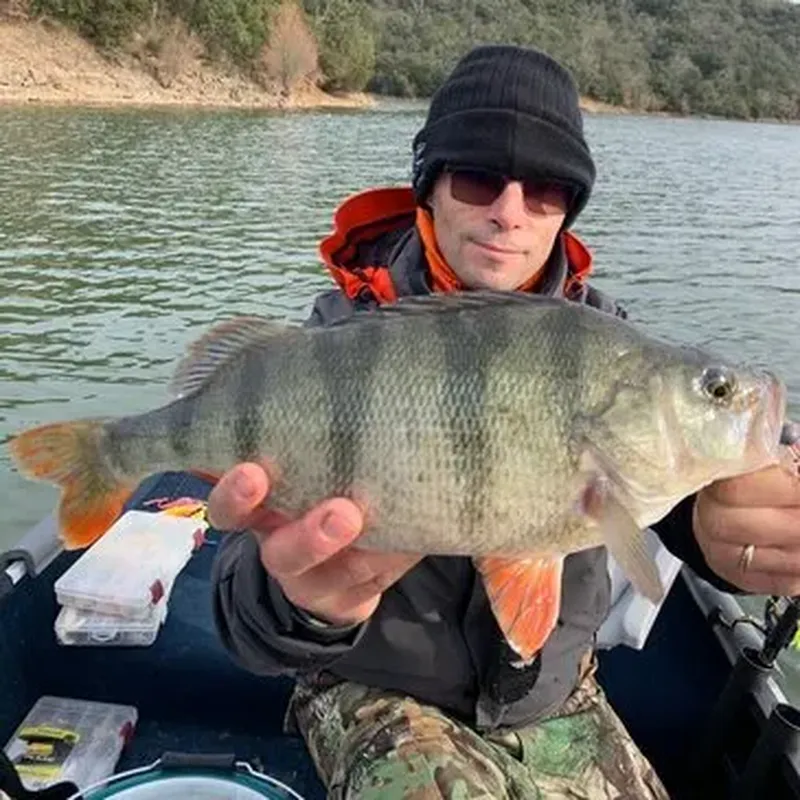 Billet Pêche aux Carnassiers sur le Lac de Saint-Cassien