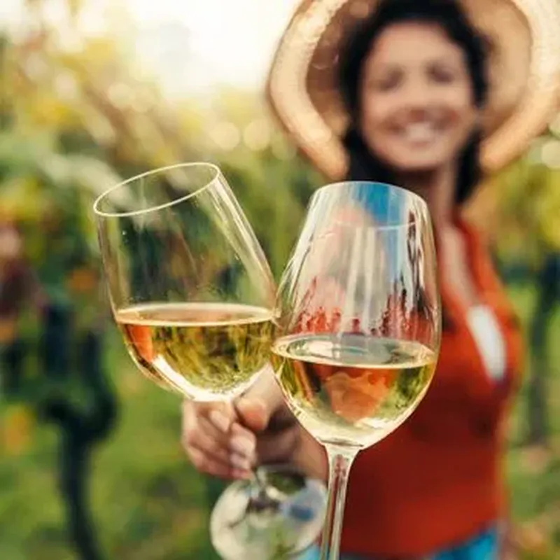 Les meilleures dégustations de vins à Nantes