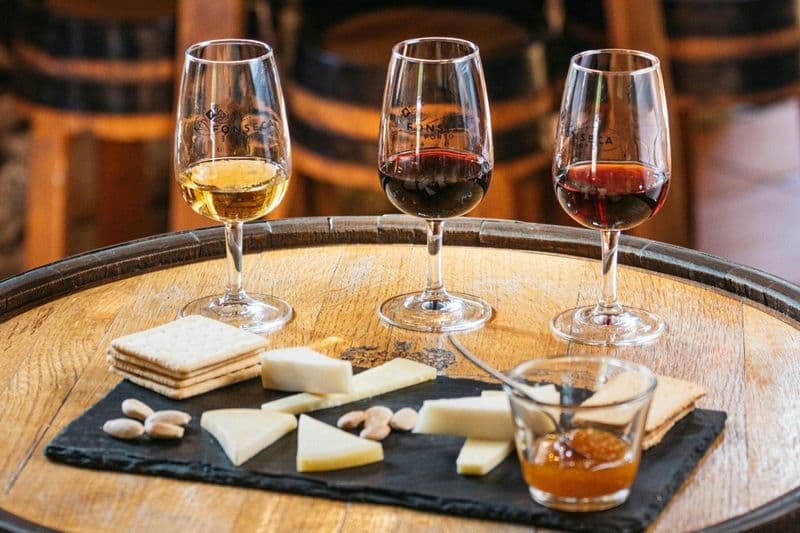 Billet Vallée du Douro : Croisière fluviale + visite des vignobles et déjeuner