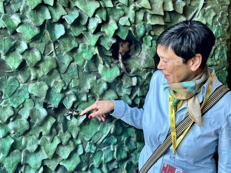 Billet Partez avec Un Local : Visitez la Sagrada Família en français + Accès coupe-file