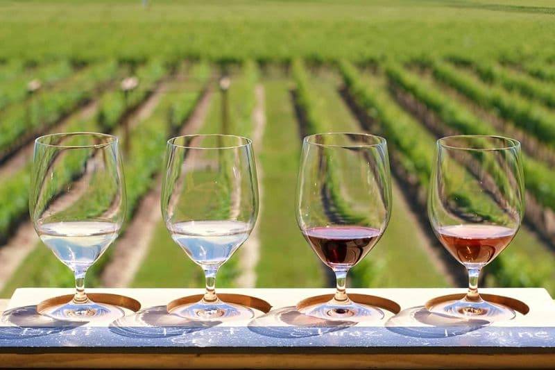 Billet Niagara-on-the-Lake, visite du marché et des vignobles : Visite guidée depuis Toronto