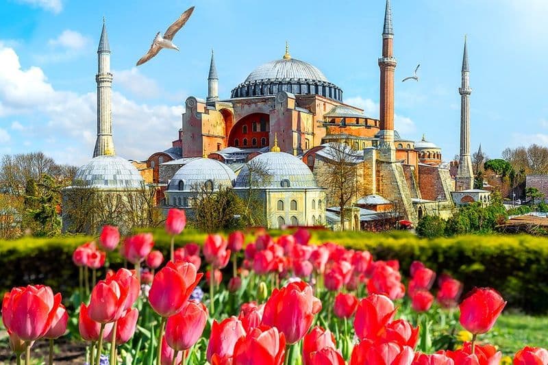 Billet Sainte-Sophie : Mosquée et musée + carte de transport public