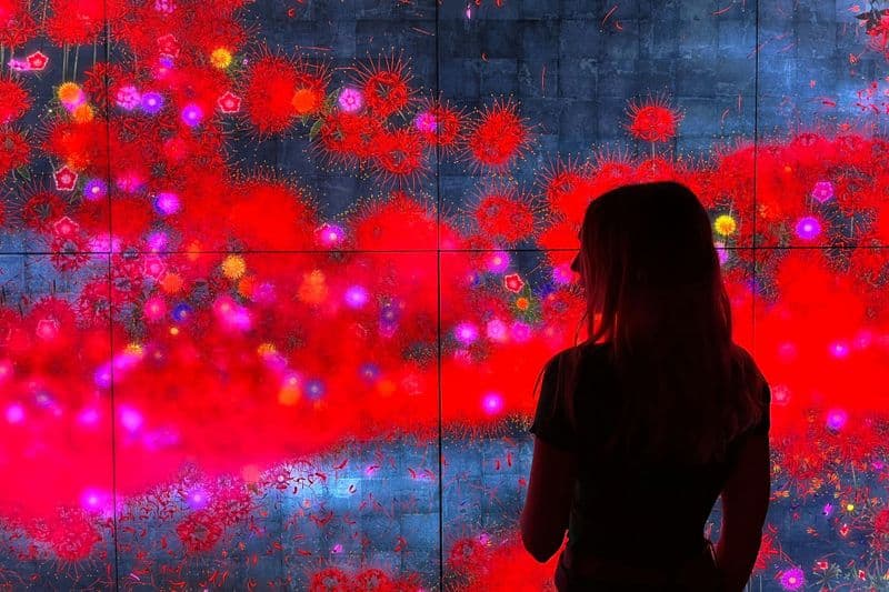 Billet Barcelone : Visite à pied de "El Born" + entrée aux musées Picasso et Moco