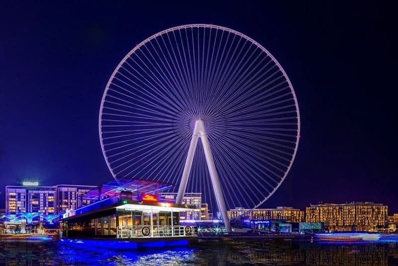 Billet Marina de Dubaï : 1 heure d'excursion en bateau à moteur à Ain Dubaï