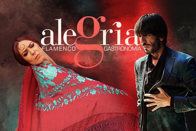 Billet Alegría Málaga : Spectacle de flamenco
