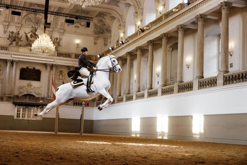 Billet Le Lipizzan se produit à l'école d'équitation espagnole