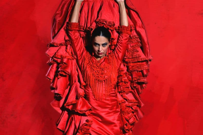 Billet Teatro Flamenco Málaga : spectacle de flamenco