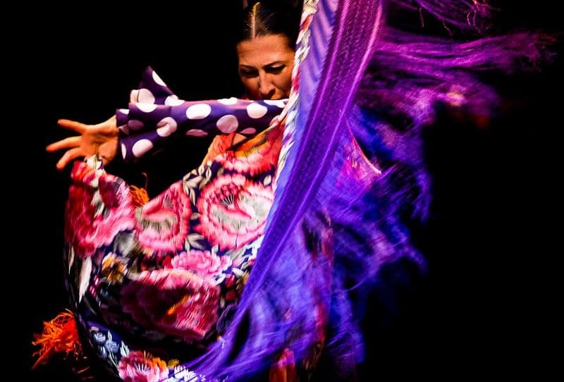 Billet Musée de la Danse Flamenco - Spectacle uniquement