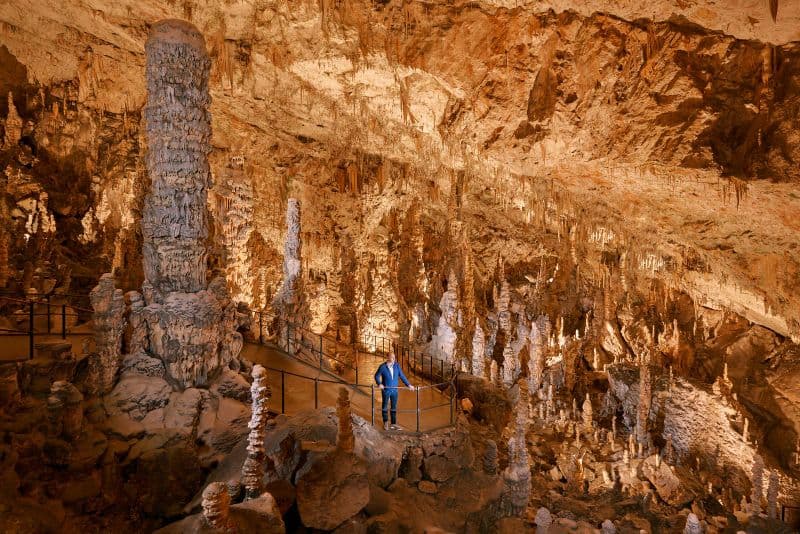 Billet Grotte de Postojna & château de Predjama : visite au départ de Ljubljana
