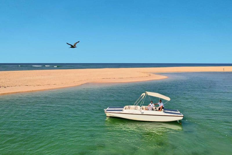 Billet Ria Formosa : excursion écologique en bateau avec observation des oiseaux depuis Faro