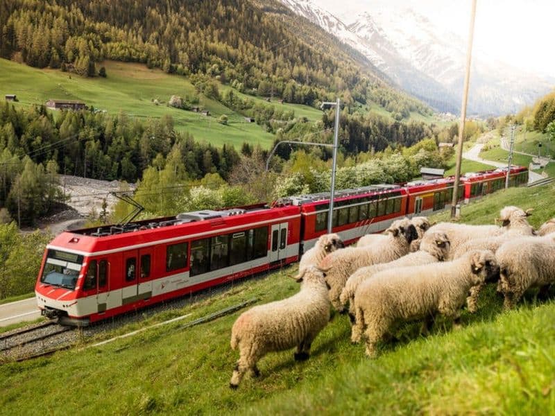 Billet Gornergrat Bahn : train touristique