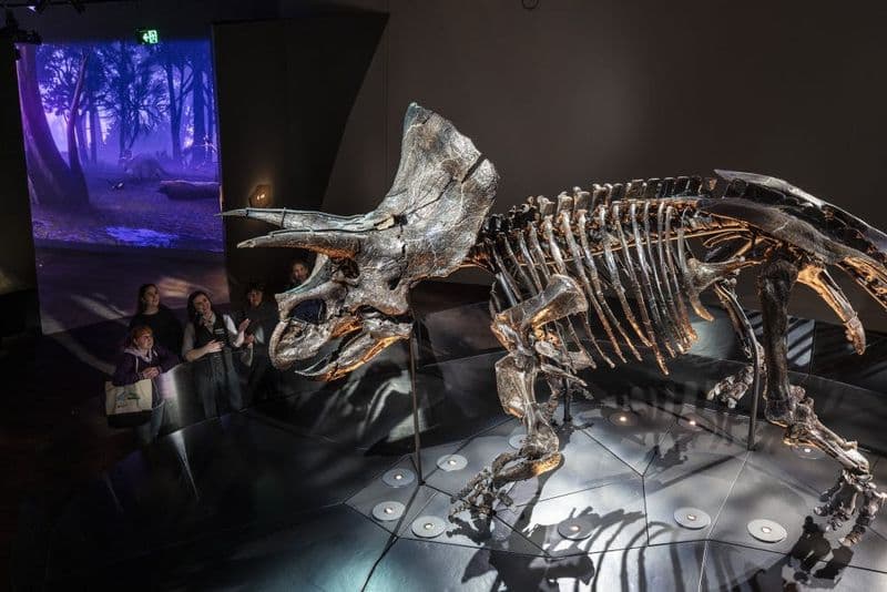 Billet Musée de Melbourne : Visite guidée de la maison des dinosaures