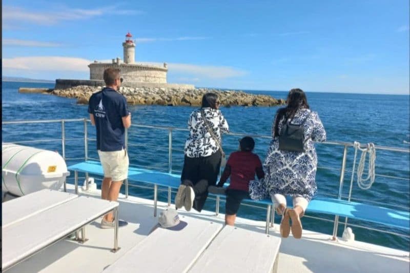 Billet Lisbonne : Croisière guidée d'observation des dauphins + Open Bar
