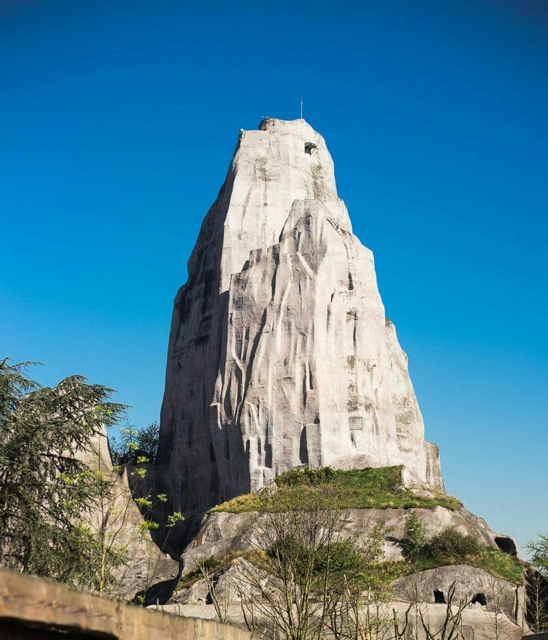 Billet Parc Zoologique de Paris : Billet d'entrée