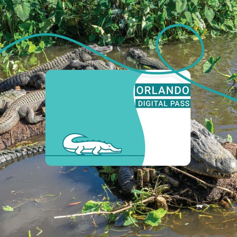 Billet Les ICONic Orlando Aquatica Pass