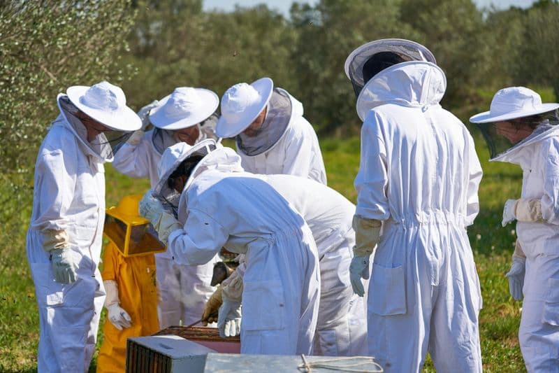 Billet Expérience d'apiculteur et dégustation de miel chez Abellaires Empordanesos
