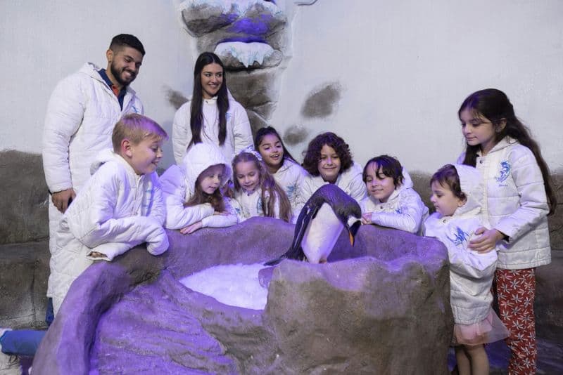 Billet Aquarium & Zoo sous-marin de Dubai : Billet d'entrée + Rencontre avec les pingouins