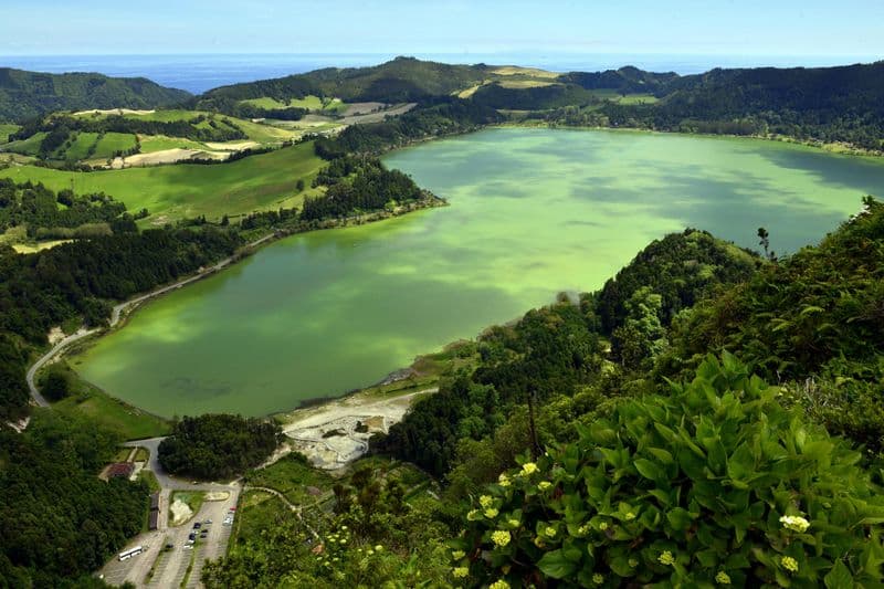 Billet Furnas : Plantations de thé, lac et volcan : visite guidée