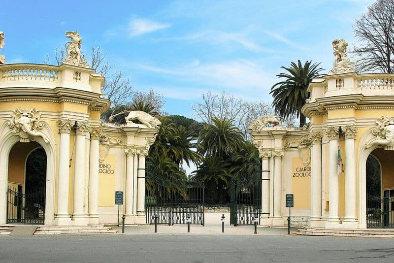 Billet Bioparco di Roma : Billet d'entrée + Tramezzino