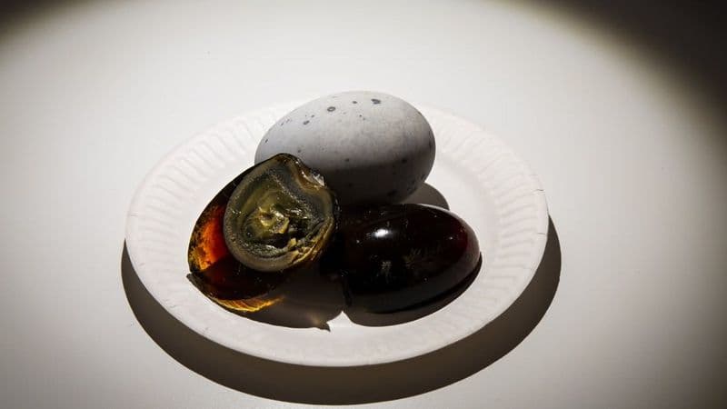 Billet Disgusting Food Museum : Billet d'entrée