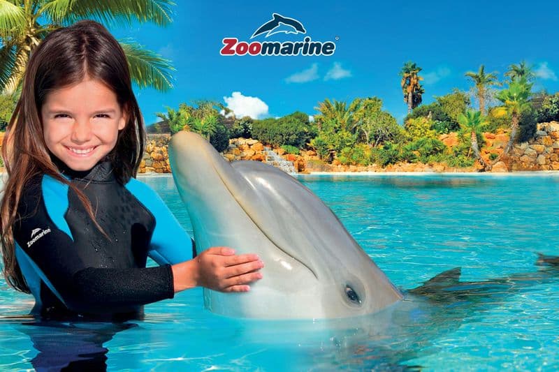 Billet Zoomarine Algarve : Billet d'entrée + expérience avec les dauphins