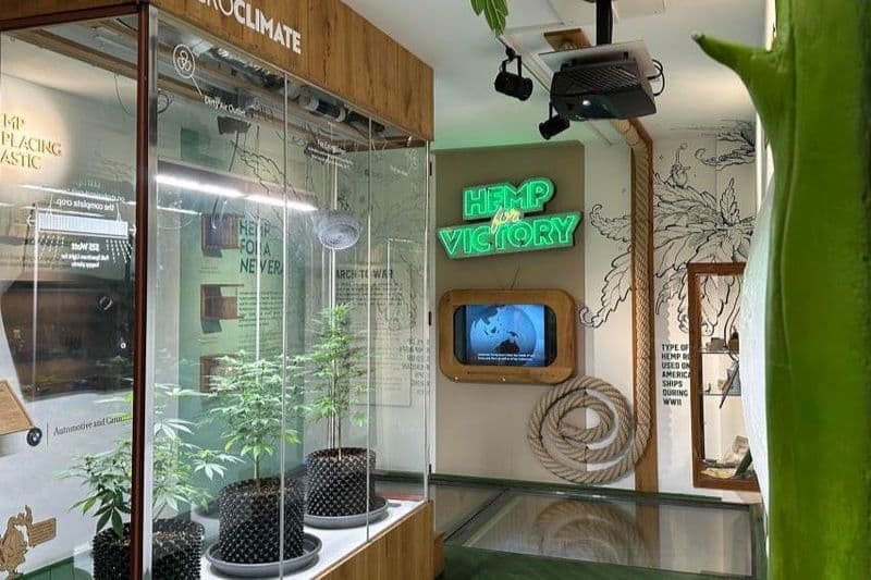 Billet Musée du cannabis à Amsterdam : Billet d'entrée + Audioguide