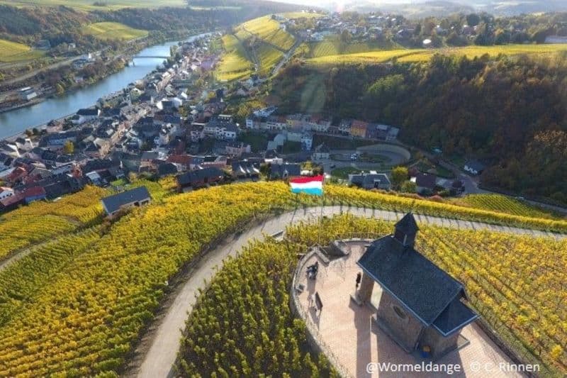 Billet Luxembourg : Excursion d'une journée sur la Moselle avec dégustation de vin + tour en bateau
